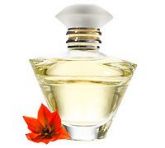 Journey® Eau de Parfum